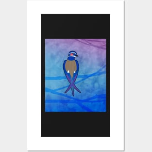 Whiskered Treeswift (Hemiprocne comata) Posters and Art